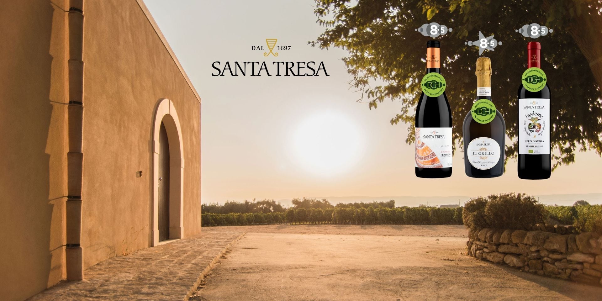Wines from Santa Tresa awarded by the most important wine website in the Netherlands
