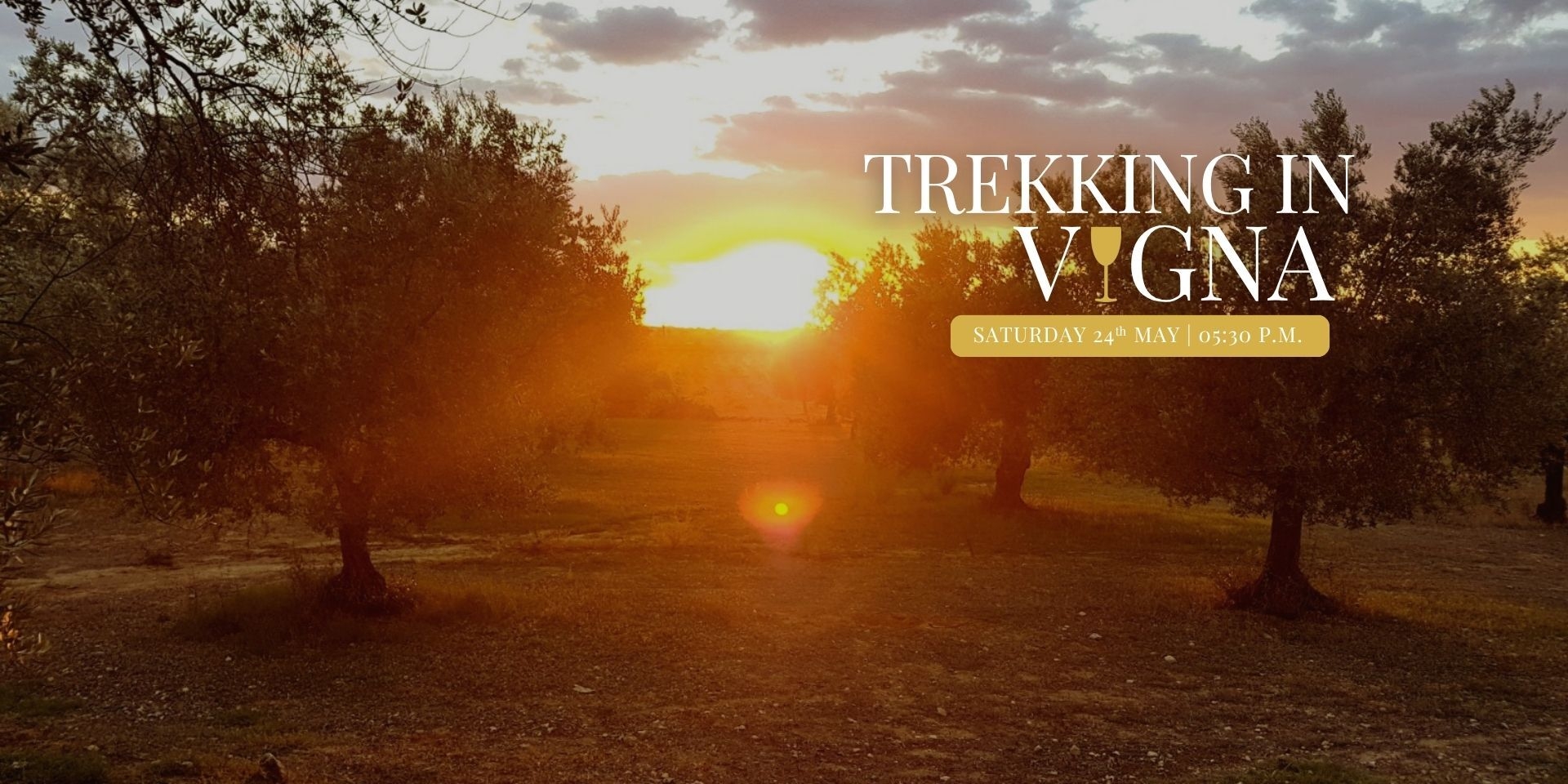 Trekking In Vigna al tramonto – Natura, Vino e Emozioni a Vittoria