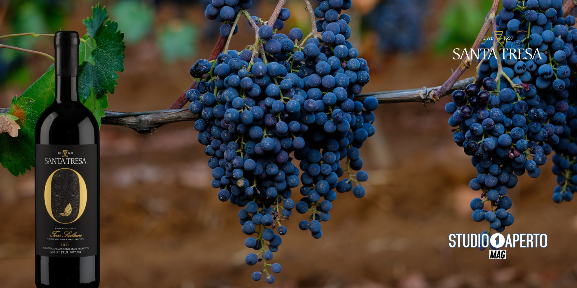 Santa Tresa su Studio Aperto MAG – La storia dell’Orisi