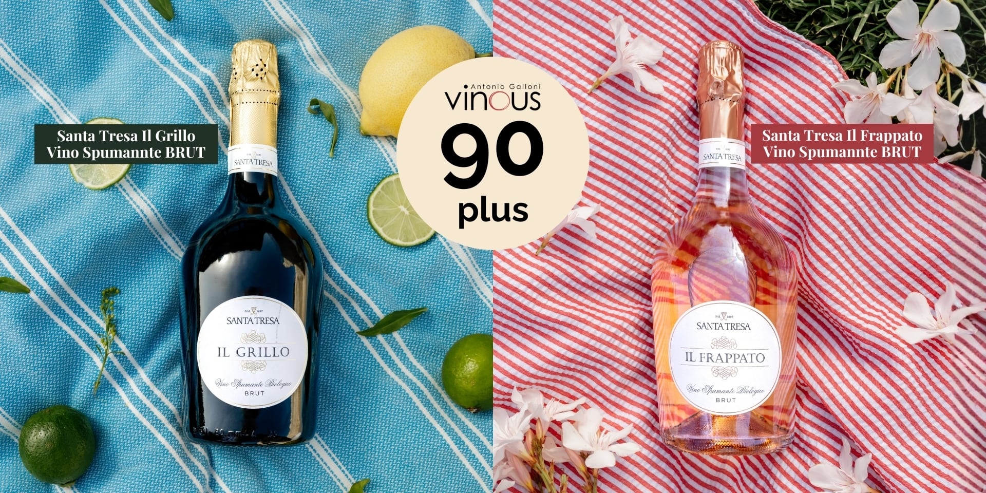 Il Frappato and Il Grillo Sparkling Wines Awarded 90 Points by Vinous Media